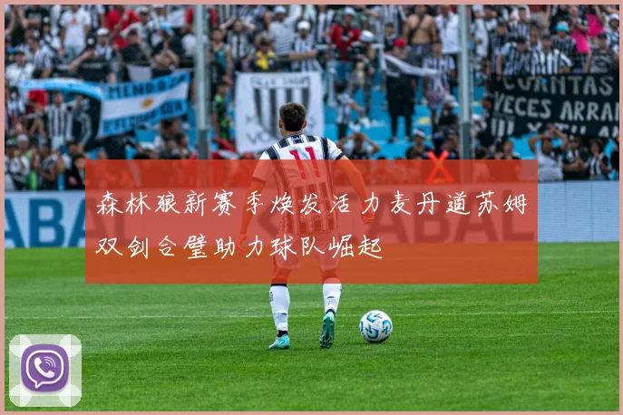 森林狼新赛季焕发活力麦丹道苏姆双剑合璧助力球队崛起